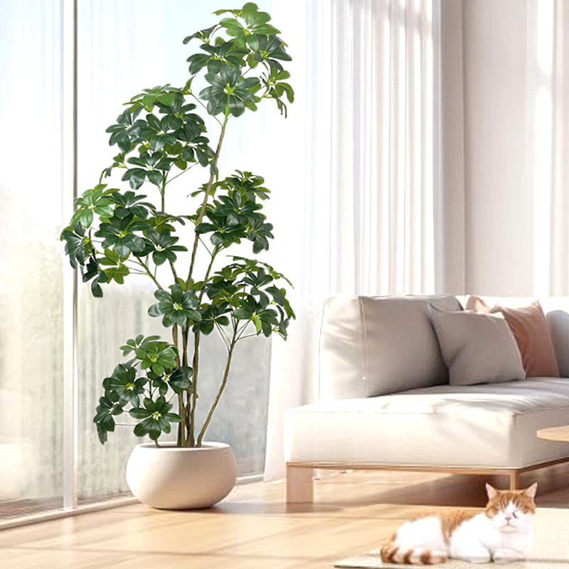 Grand Ficus Tropical Artificie - Dracaena Marginata avis et prix