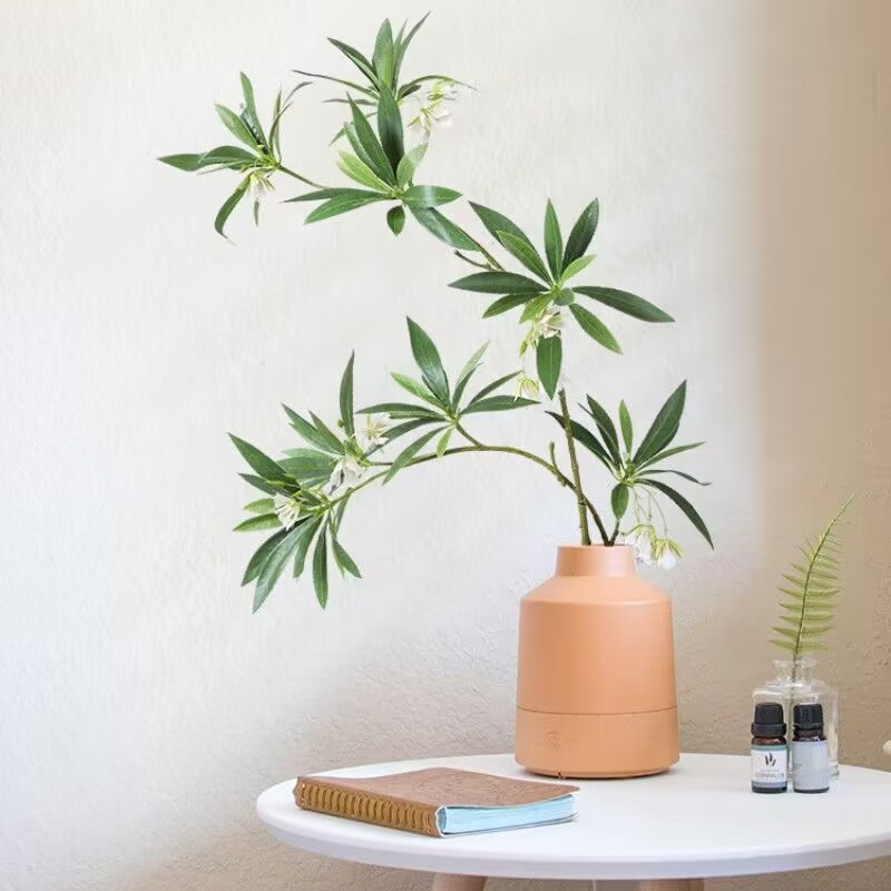 Pierre d'eau artificielle Bany - Dracaena Marginata avis et prix