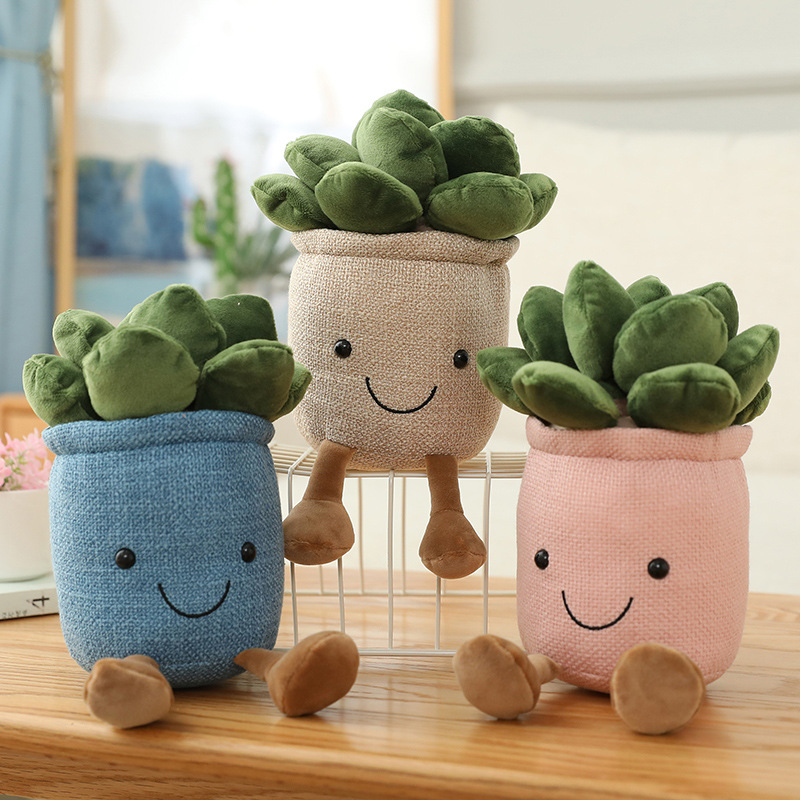 Jouets en peluche réalistes en - Echeveria Succulent avis et prix