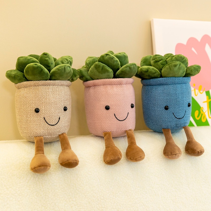 Jouets en peluche réalistes en - Echeveria Succulent avis et prix