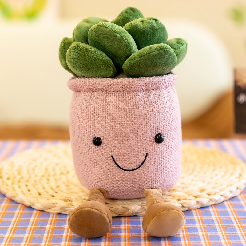Jouets en peluche réalistes en - Echeveria Succulent avis et prix