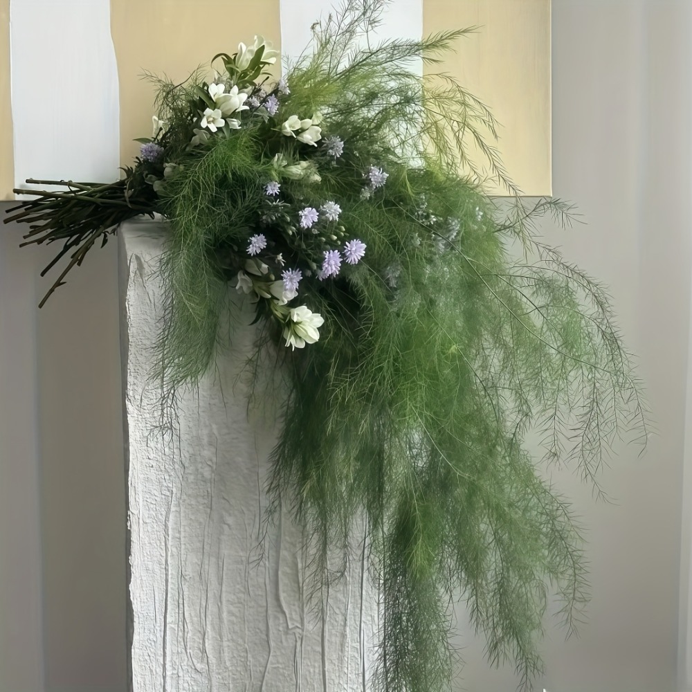 Lot de 3 guirlandes artificiel - Dracaena Marginata avis et prix