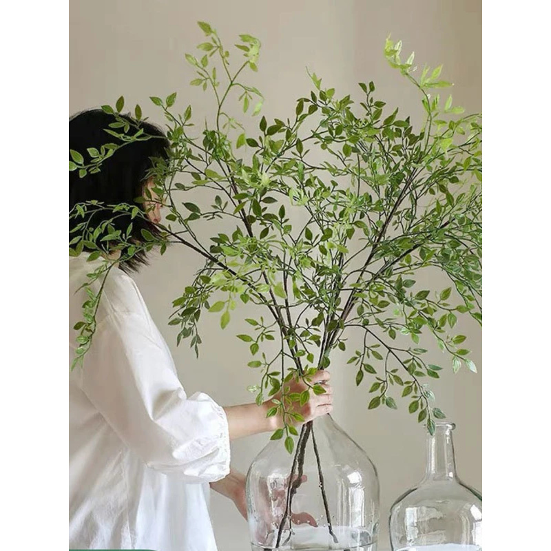 Plantes vertes artificielles à - Dracaena Marginata avis et prix