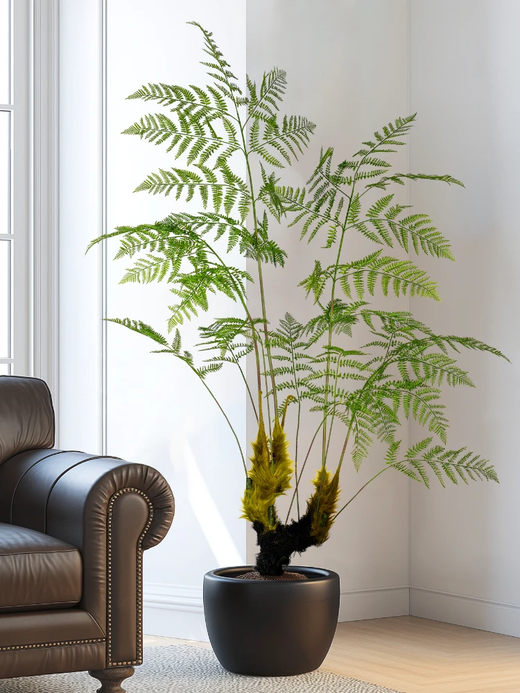 Fausse Fougère en Forme de Sin - Dracaena Marginata avis et prix